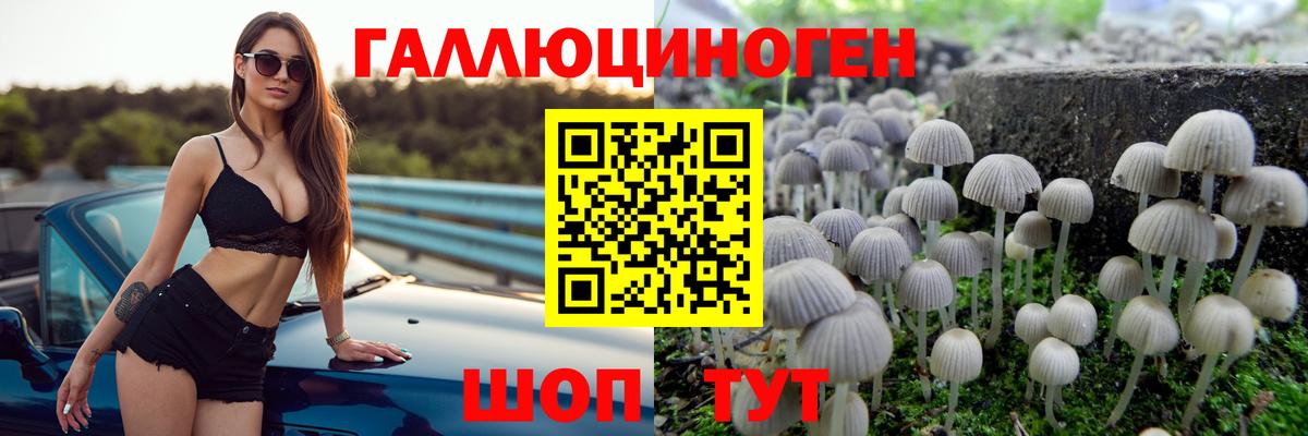Псилоцибиновые грибы Cubensis  наркотики  Шелехов  Галлюциногенные грибы GOLDEN TEACHER  Вход с VPN 