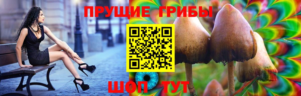 Галлюциногенные грибы ЛСД Шелехов